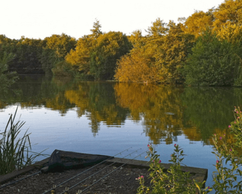 Bentley Fishery