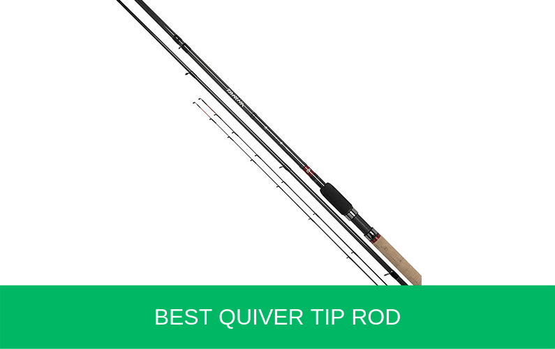 Ledger Fishing Rod Feeder Shakespeare Firebird Quiver Reel /& Line