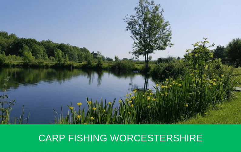 Carp Fishing Worcestershire Carp n Bait