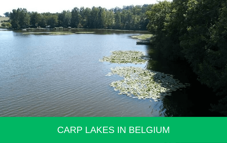 carp lakes in belgium