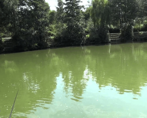 Court Farm Fishing Lakes