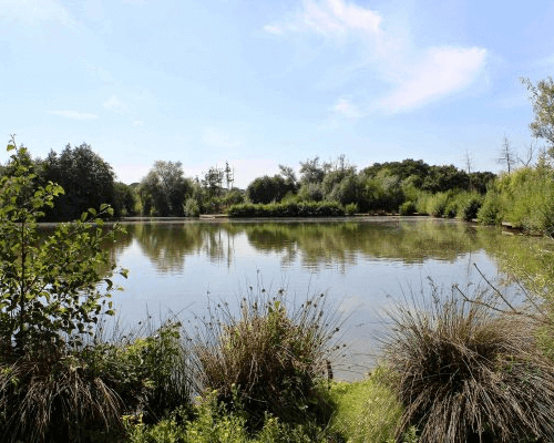 Crow Green Fishery