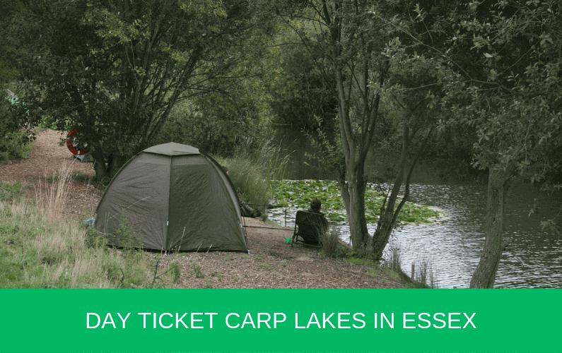 Day Ticket Carp Lakes in Essex