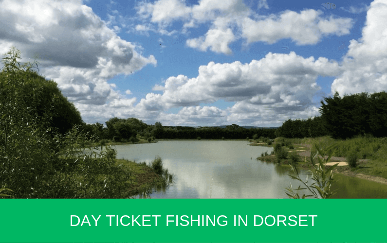 Day Ticket Fishing in Dorset Carp n Bait