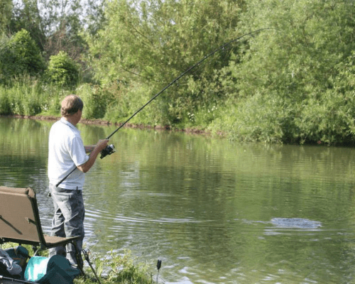 New Farm Fisheries