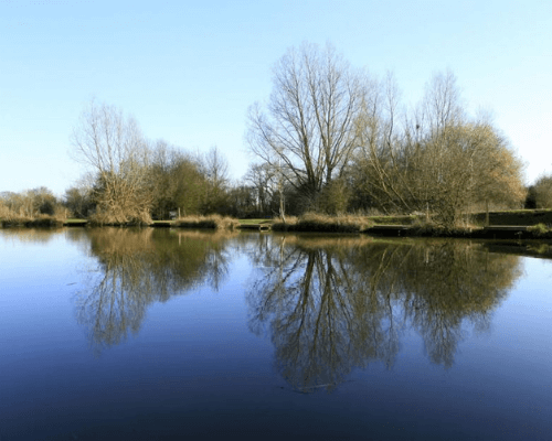 Newland Hall Fishery