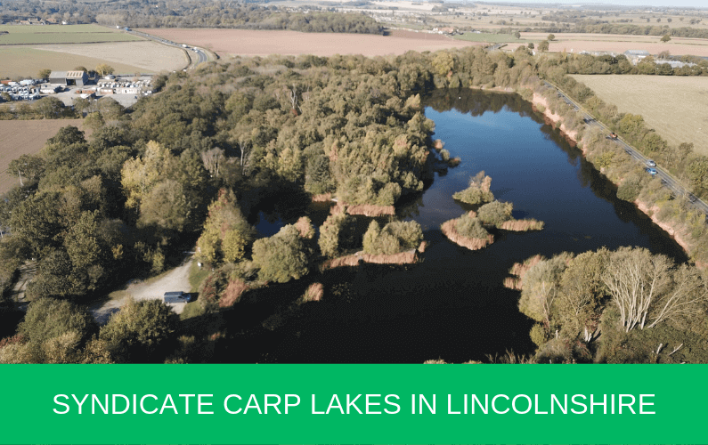 Syndicate Carp Lakes in Lincolnshire