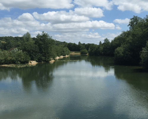 Westfield Fishery