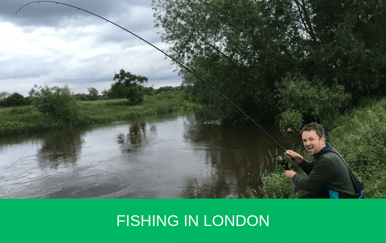 Fishing In London Carp n Bait
