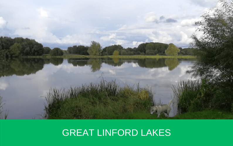 Great Linford Lakes, Little Linford Carp n Bait