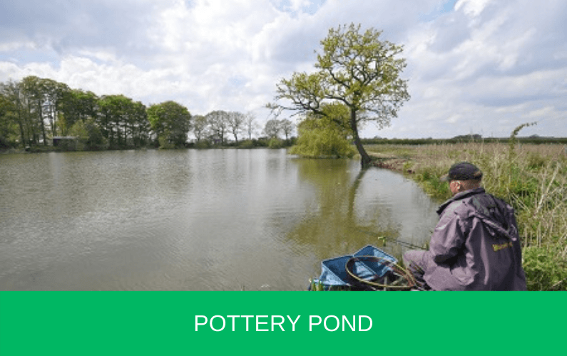 Pottery Pond, Strensall, Yorkshire Carp n Bait