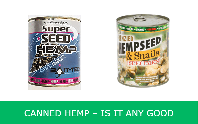 Canned Hemp – Is It Any Good