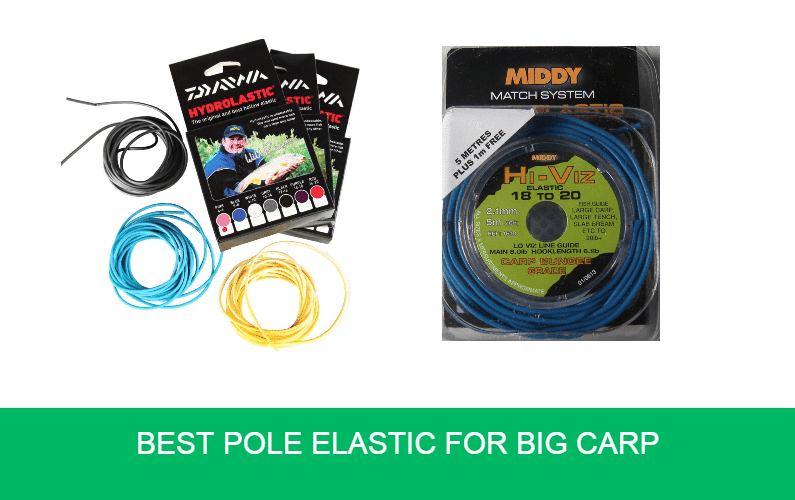 Best Pole Elastic for Big Carp