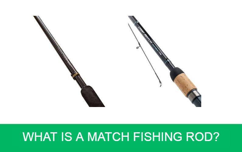 What is a Match Fishing Rod